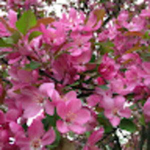 Meet your Posher, Karin